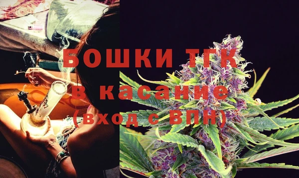 крисы Алексин