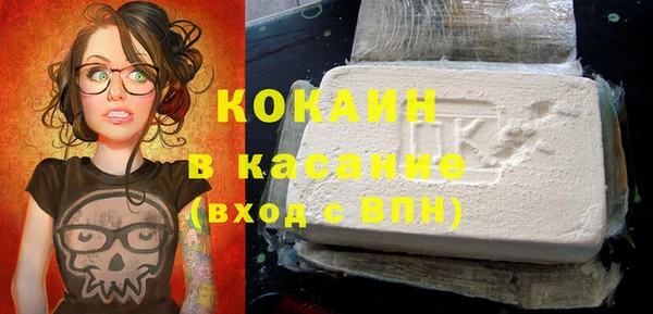 крисы Алексин