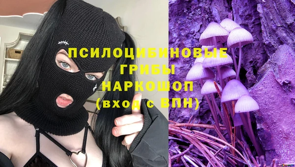 крисы Алексин