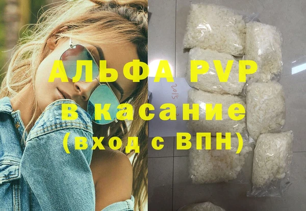 крисы Алексин