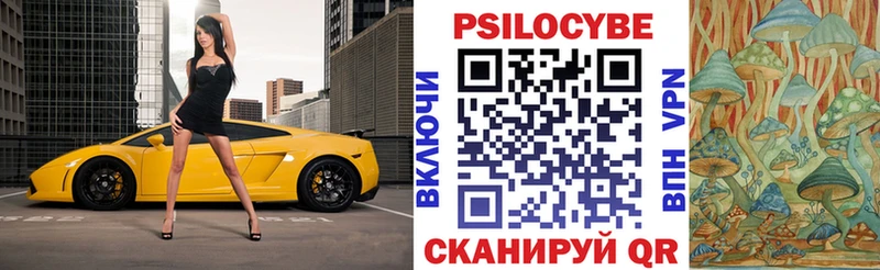 Псилоцибиновые грибы Cubensis  это Telegram  Ветлуга 